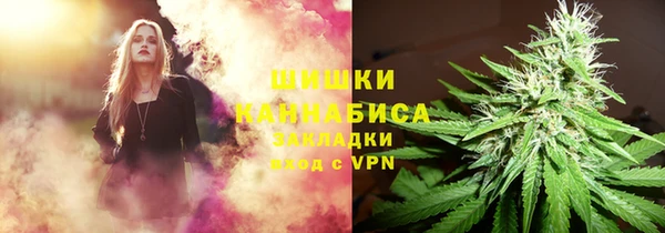 шишки Покачи