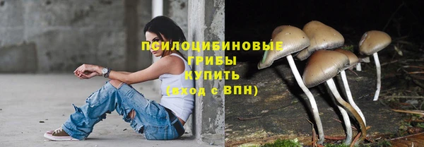 шишки Покачи