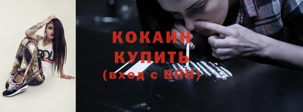шишки Покачи