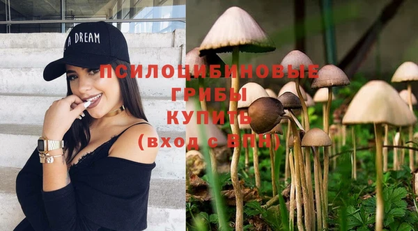 мяу мяу мука Богородицк